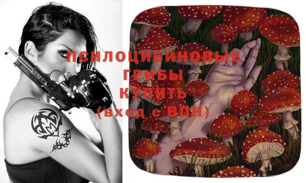 мяу мяу мука Армянск